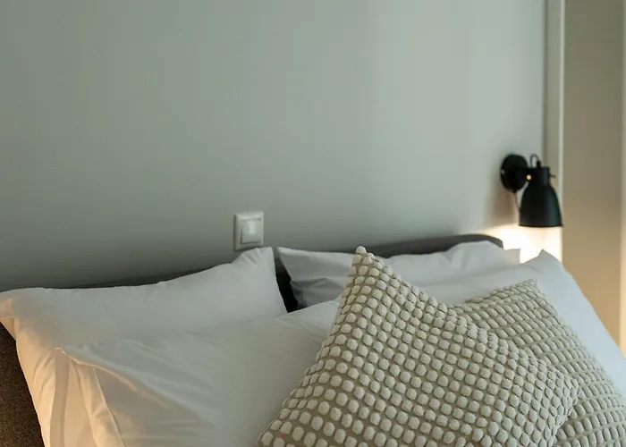 Living In Avantgarde 纳夫普利翁