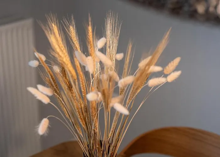 Living In Avantgarde Нафплион