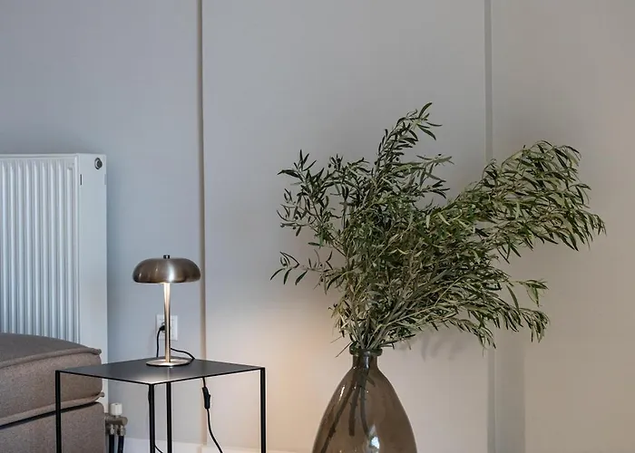 Living In Avantgarde 纳夫普利翁